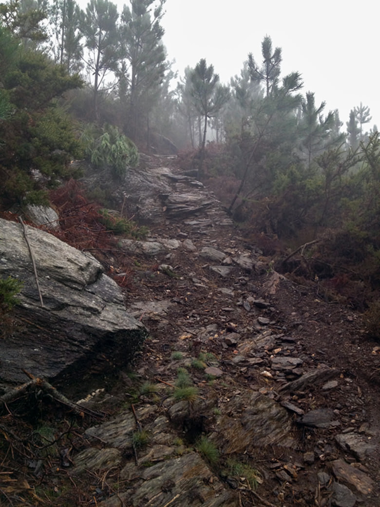 07-foggy-trails