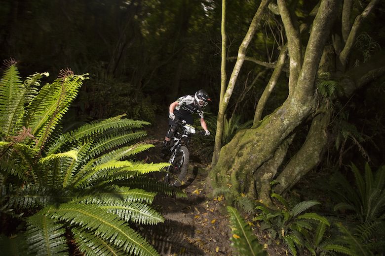 Wonderland: Anton Cooper, of Christchurch, descends through native bush on the Alice in Wonderland trail during stage 2.