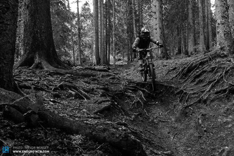 This is the essence of forest riding, big roots and big commitment!