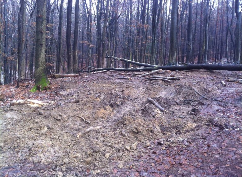 Mit schwerem Gerät wurde nicht nur die Strecke beseitigt, sondern auch der Waldboden zerstört.