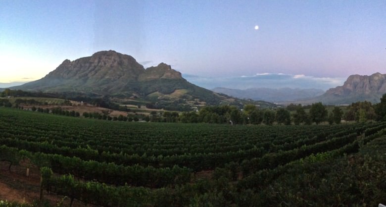An seinem Geburtstag besuchte er ein Weingut in der Weinhauptstadt Stellenbosch