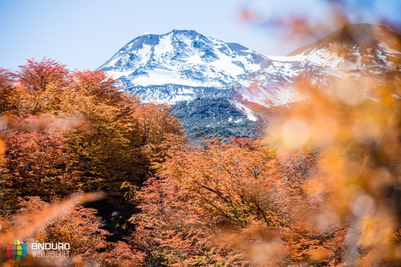 It is Autumn in Chile, and the trees are on fire with colour, standing in stark contrast with the snow capped peaks!