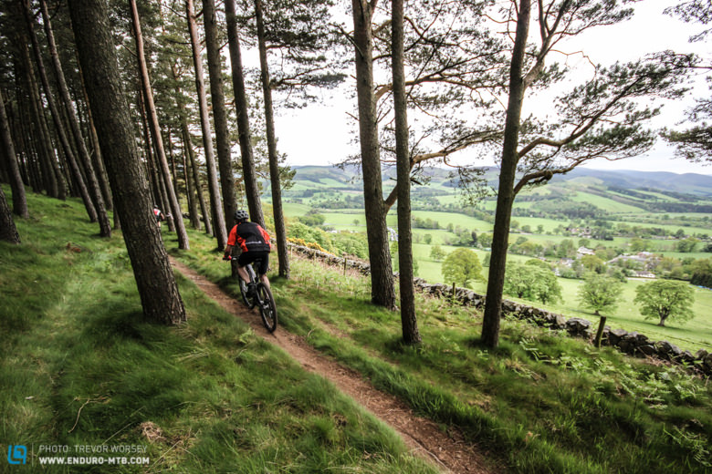 Some of the best trails in the borders, Glentress is well worth a visit!