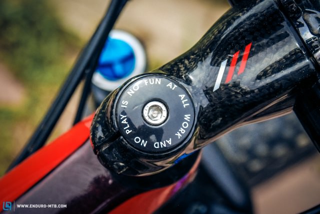 Shorter XXX Lite Carbon Bontrager stem. Top cap: "All work and no play is no good at all...".