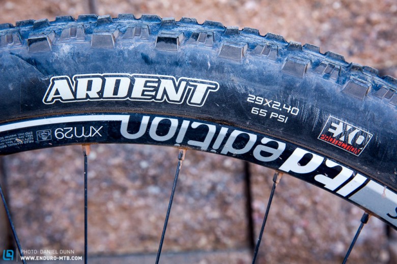 The Ardent is up front. Weighing in at a very respectable 805 grams, this a nice "do it all" tire. 
