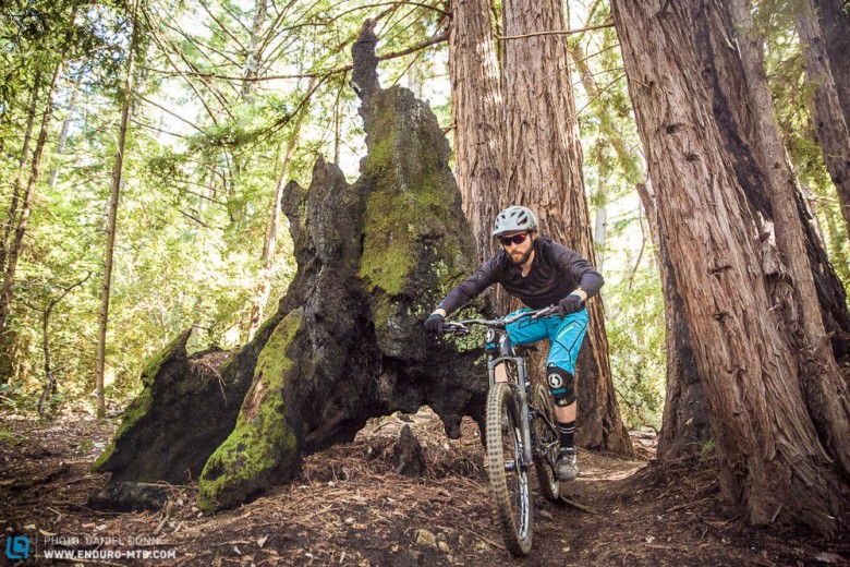 Editor Robin Schmitt wearing the Specialized Atlas short while riding Demo Forest, Santa Cruz, CA.