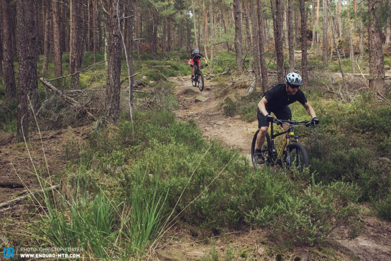 Gemeinsam auf natürlichen Trails biken – genau das wird im Schwarzwald bald auch legal möglich.