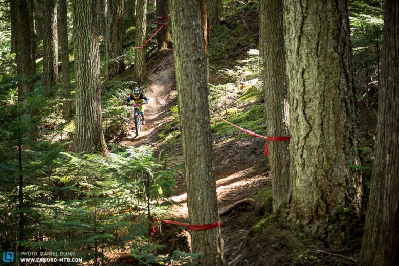 The forests in Whistler are big, deep and dark. Minutes from town can feel like miles away from home. 