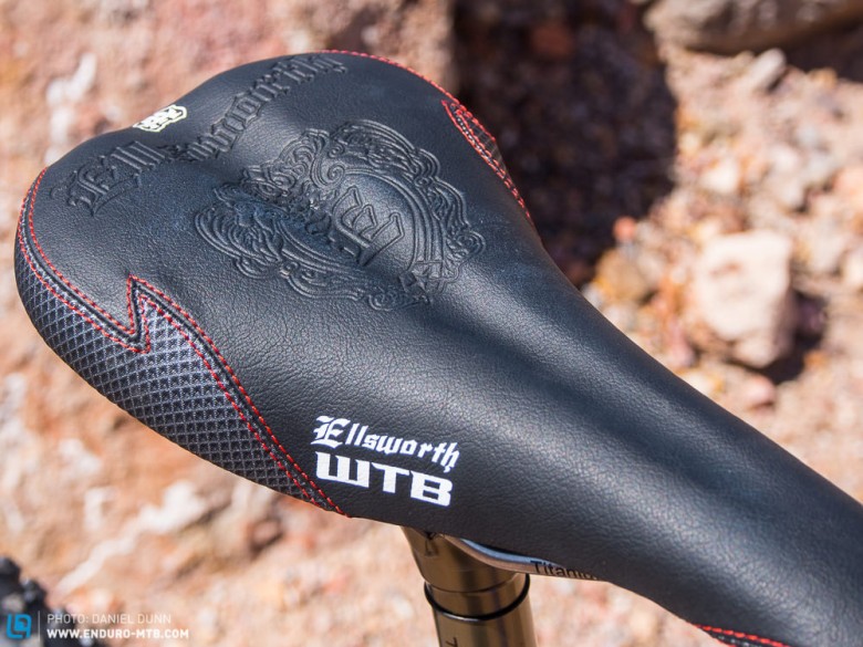 Custom Ellsworth stamped WTB saddle. 
