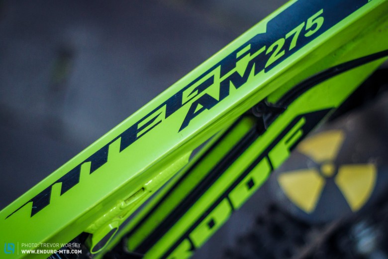 Nukeproof have moved away from the trademark black and yellow, to offer some strong new colours.