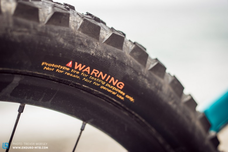 We have no more info, but these Prototype Maxxis Minion tyres had a very soft compound.