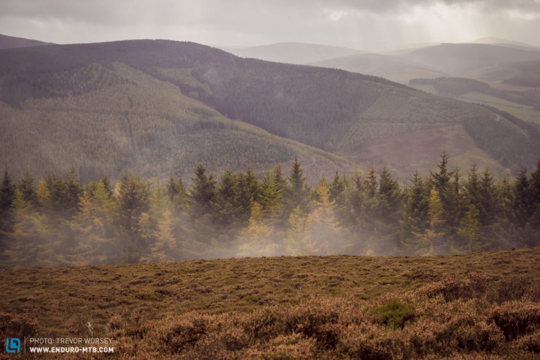As soon as the sun hit the heather, the mists rose