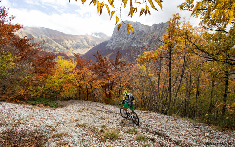 The colors are what autumn riding is all about!