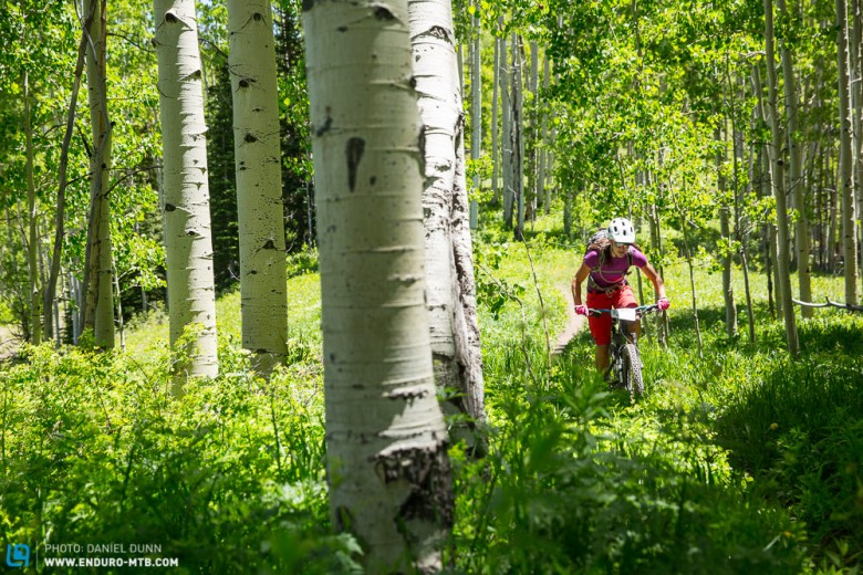 Stunning aspen stands to ride through in Snowmass. 