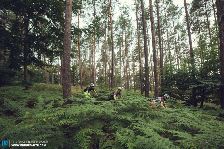 Auf und und ab im Pfälzer Wald - das Terrain ist wie gemacht für XC-Bikes