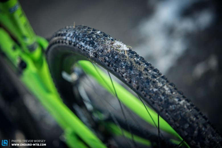 The Maxxis Crossmark TR 29 X 2.1" EXO is a fast rolling tyre, but no good in the winter, a Maxxis Beaver will take its place until the trails dry out