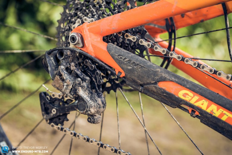 The SRAM X1-drivetrain with a 32 tooth chainring and 10-42 cassette make hills a breeze