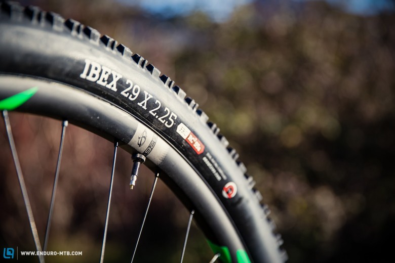 2.25 “ Onza Ibex tyres run on the Ibis 928 carbon rims. Plenty of grip even in winter conditions.