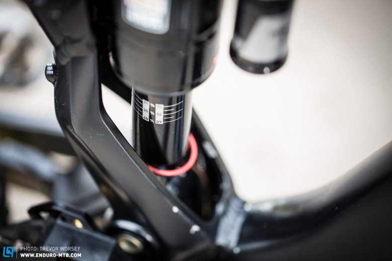 The shock sits in a 'clamshell' pierced seat tube, and is driven from both ends