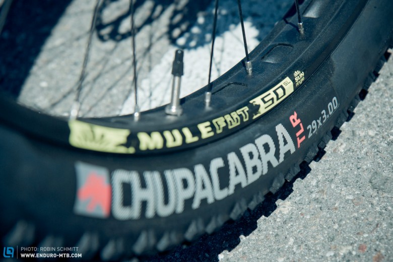 The Bontrager Chupacabra tyres have proved popular with riders