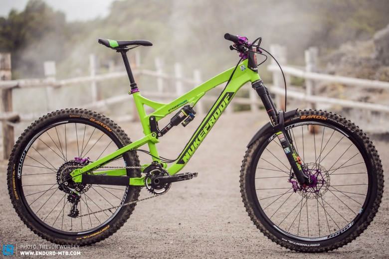 The Nukeproof Mega AM has always been a popular choice for the privateer racer
