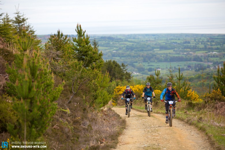 Big views over Wicklow, Carrick Mountain is only small but its trails pack a punch
