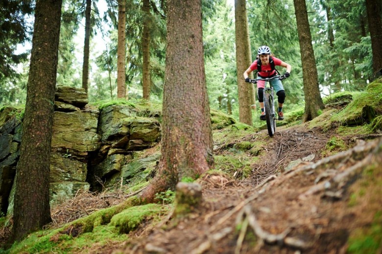 Mit welchem Rad lässt es sich am besten über die Wurzelteppiche fliegen? Finde es heraus beim BikeTestival Erzgebirge!