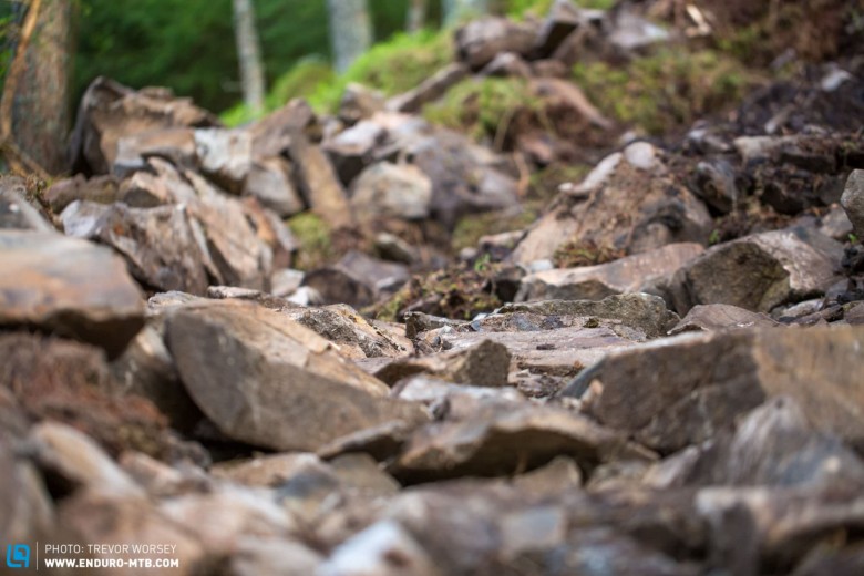 This year there will be new sections, and more rocks - choose your sidewalls carefully.