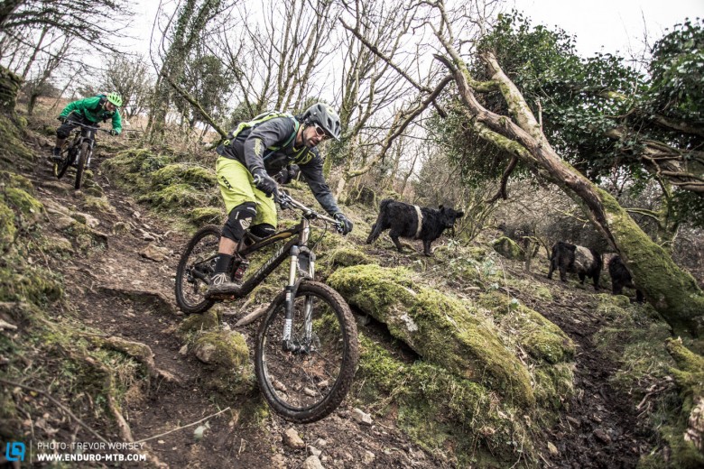 When it comes to UK riding, Devon was there from the beginning. From the first mountain biking videos to hit the scene there was a passionate crew who were out there shredding.