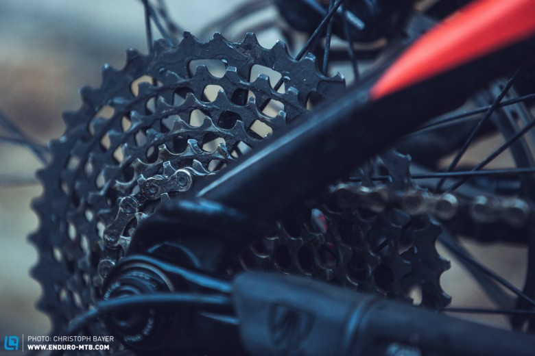 We love 11-speed, it suits any type of terrain and powers you through those hard rides.