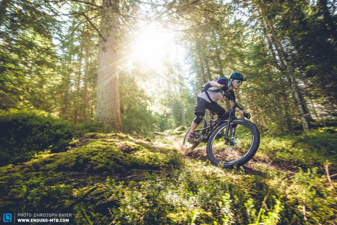 Lockerer Waldboden und Sonnenschein - Bikerherz was willst du mehr? 