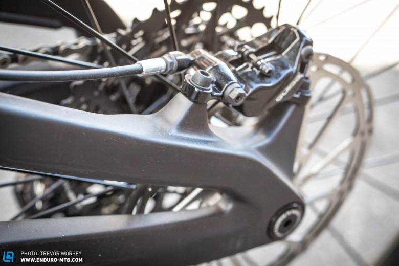 The dropouts are neat and clean, and the bike retains a 142 x 12 mm dropout