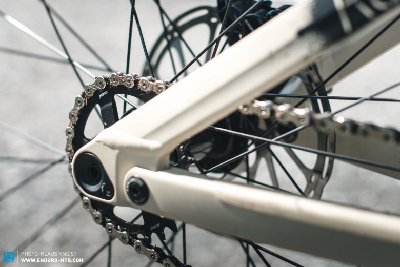Das Pinion-Getriebe macht ein Schaltwerk überflüssig und eliminiert damit eine exponierte Schwachstelle des Fahrrads.