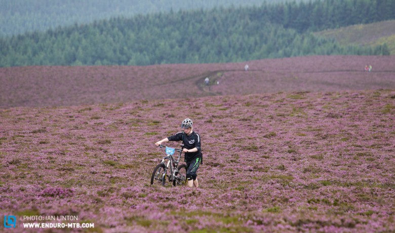 It was great to see the heather in full bloom