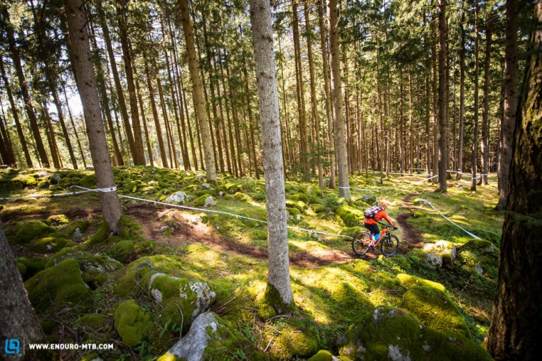 we know wherever there is good skiing there is likely to be good mountain biking too.