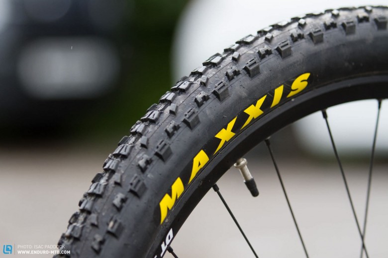The Maxxis Ardent, keeping things spinning fast for summer, soon to be changed for a more winter suited tyre.