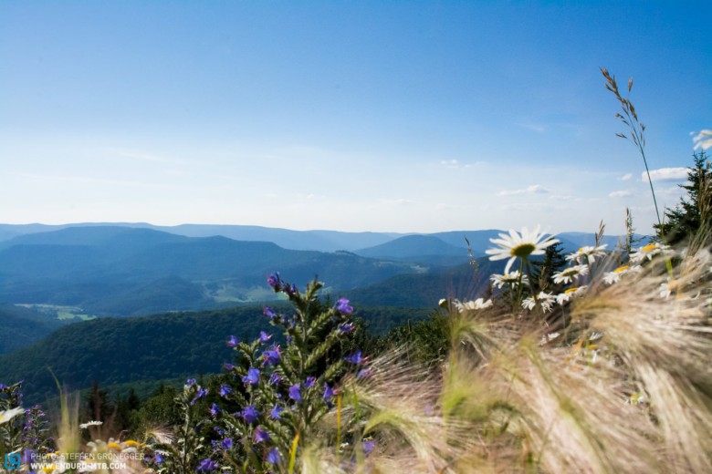 Mitten im bildschönen Pocahontas County in den Allegheny Mountains.