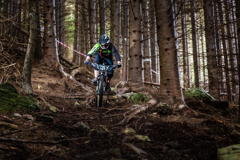 Loam and roots for every stage