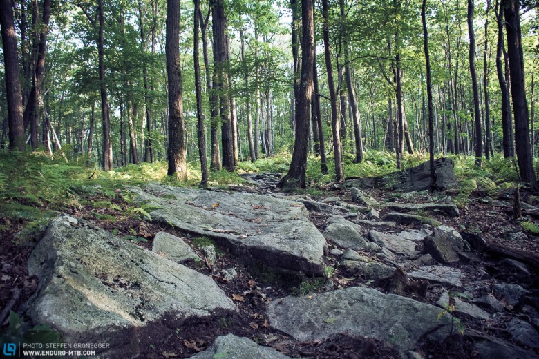 East Coast Trails sind ein zweischneidiges Schwert: Uphill fahrtechnisch eine Qual, bergab meist Spass pur.