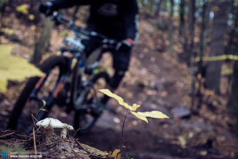 East Coast Enduro Racing  im Herbst – can it get any better?
