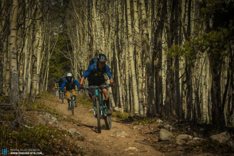 The crew sending it fast and dusty through some insane aspen forests.  