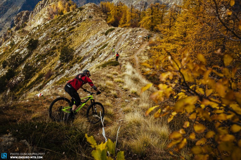 Dropping into the descents is where the Nukeproof comes alive