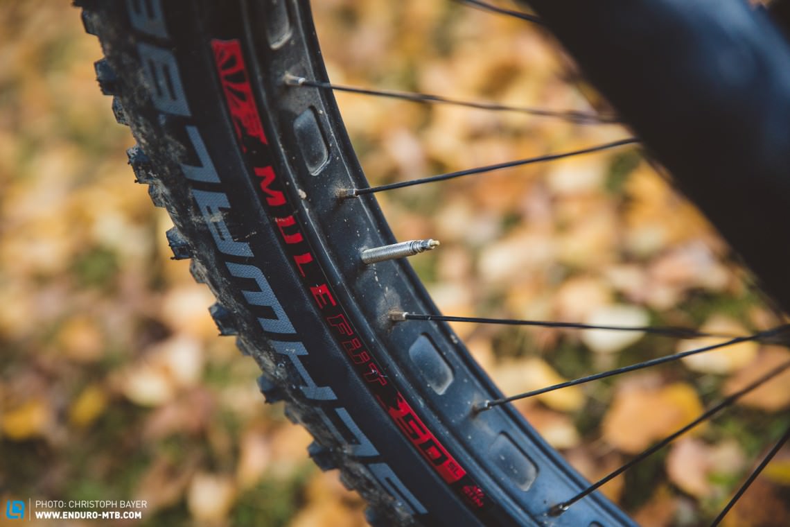 Wheels and tires of the Stevens Whaka ES 27.5+