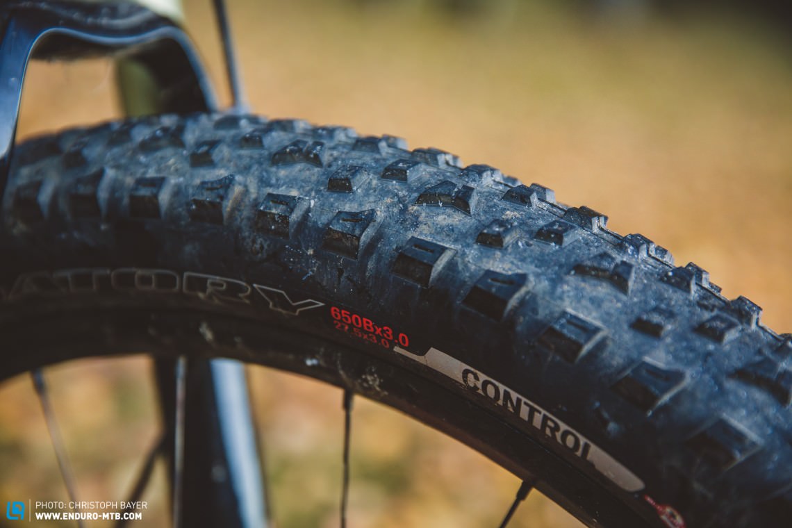 Rims and tires of the Specialized Stumpjumper FSR Expert 6Fattie
