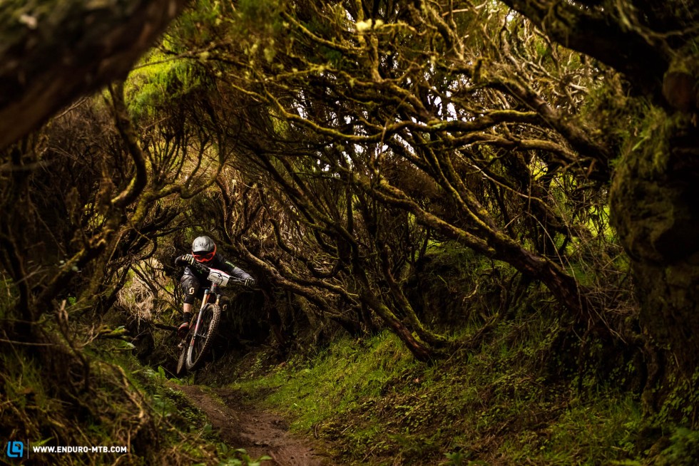 (Trails on Madeira offer everything for proper enduro riding)