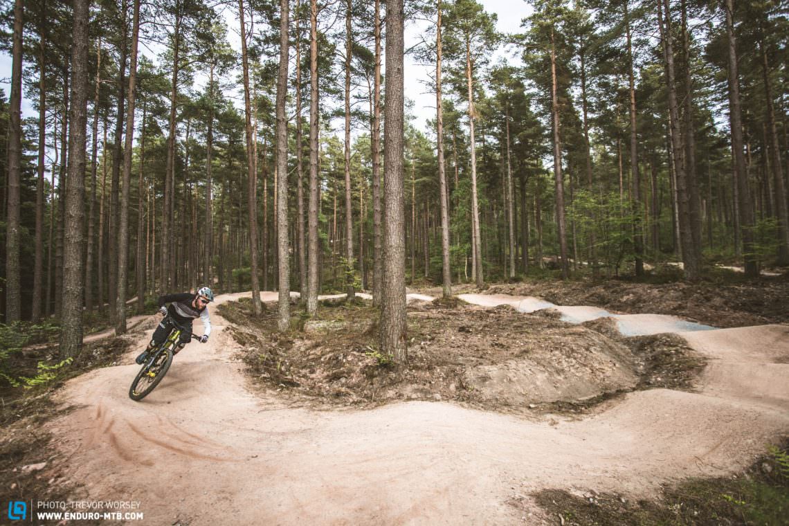 The Moray Monster Trails also have a new pump track and skills and jump areas, perfect for whiling away an afternoon.