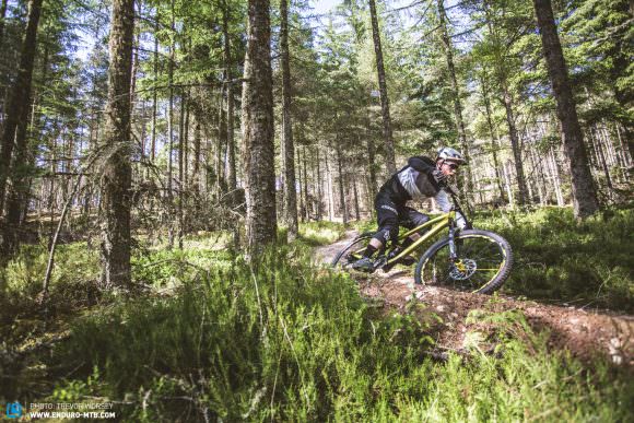 Flat out fast berms and great intermediate riding define the Moray Monster Trails.