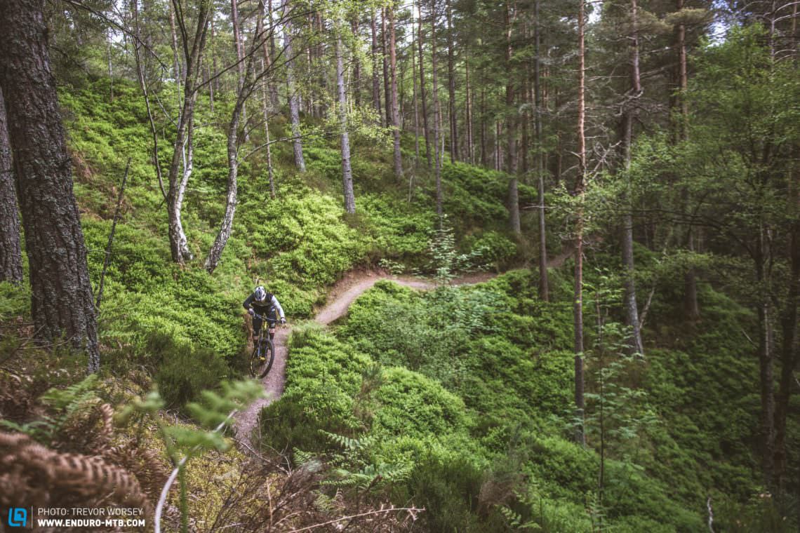 We knew we would find some great trails in Moray Speyside, but we never expected them to be this good!