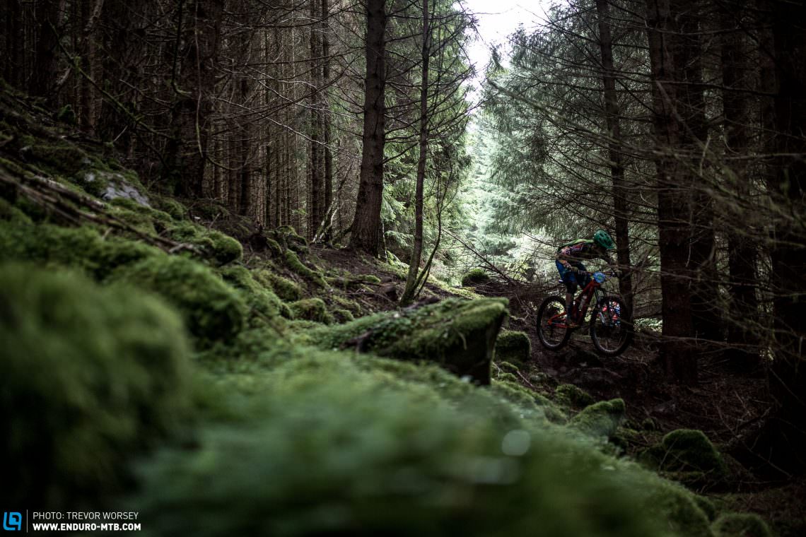Laggan Forrest pulls no punches, deep. dark and technical as hell. 