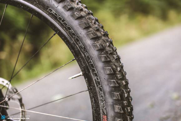 The Plus tires add comfort and grip, but are suited more to intermediate riders.
